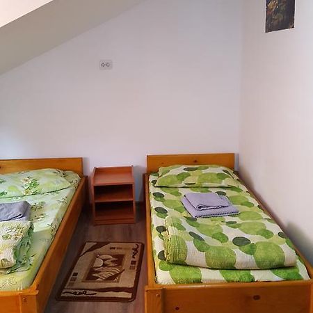 Casa Borcean Villa ซาสกา มอนตาเนอ ภายนอก รูปภาพ