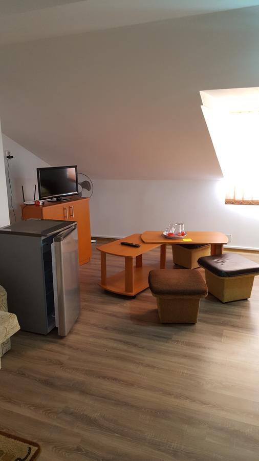 Casa Borcean Villa ซาสกา มอนตาเนอ ภายนอก รูปภาพ
