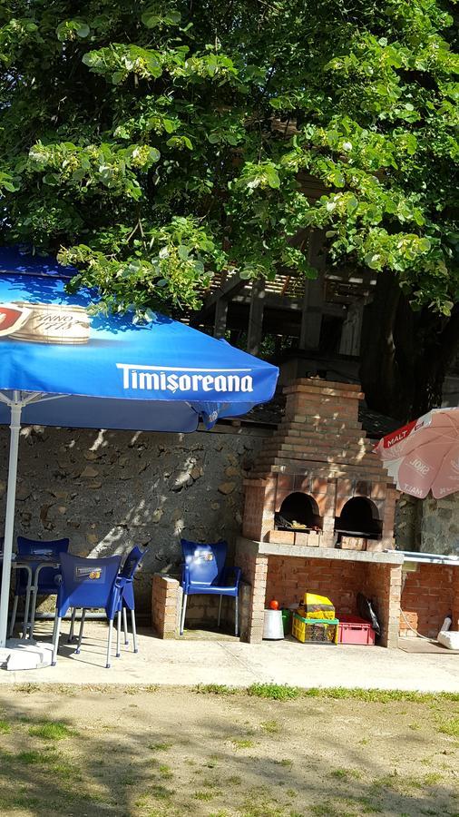 Casa Borcean Villa ซาสกา มอนตาเนอ ภายนอก รูปภาพ
